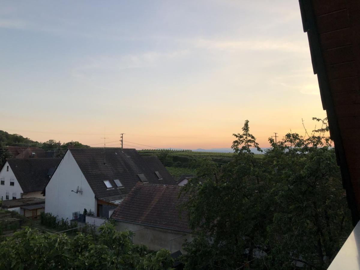 Ferienhaus Irene Vogtsburg Exterior foto